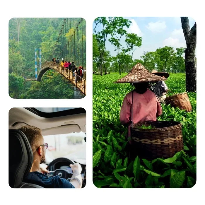 Tourists enjoying a Northeast India trip with SB Tours and Travels